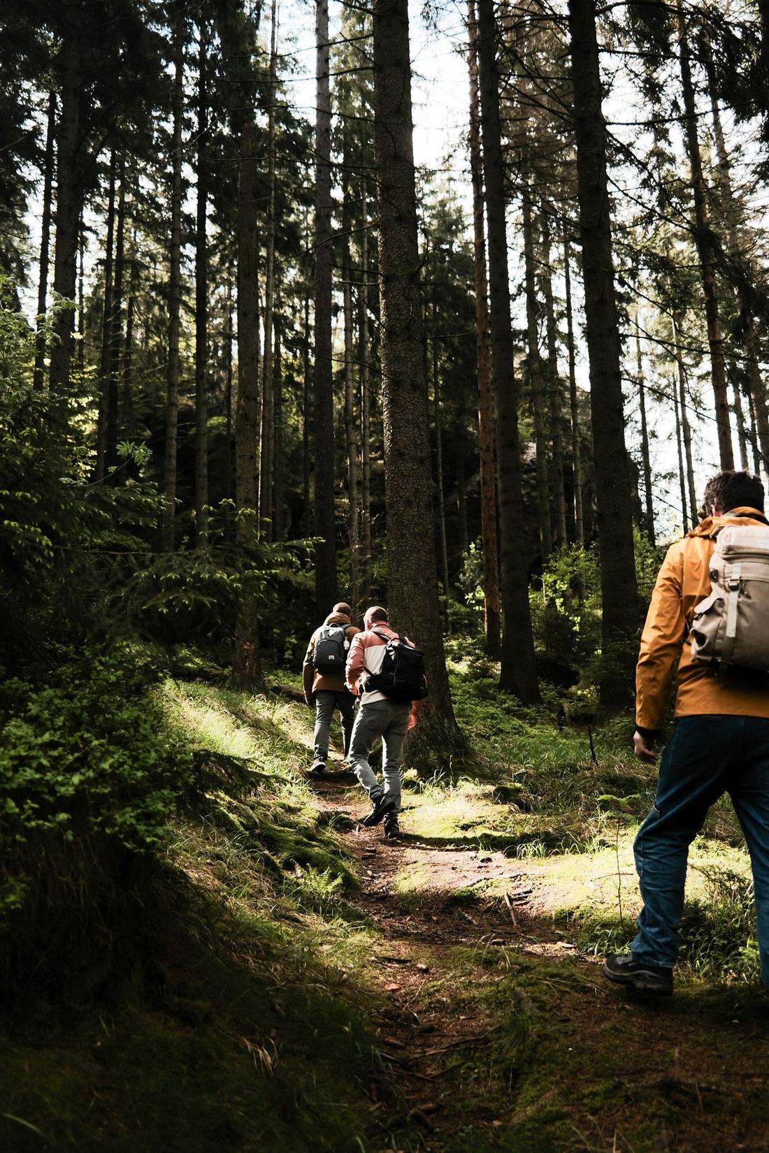 Wanderer auf einem Bergpfad bei Kitzbühel