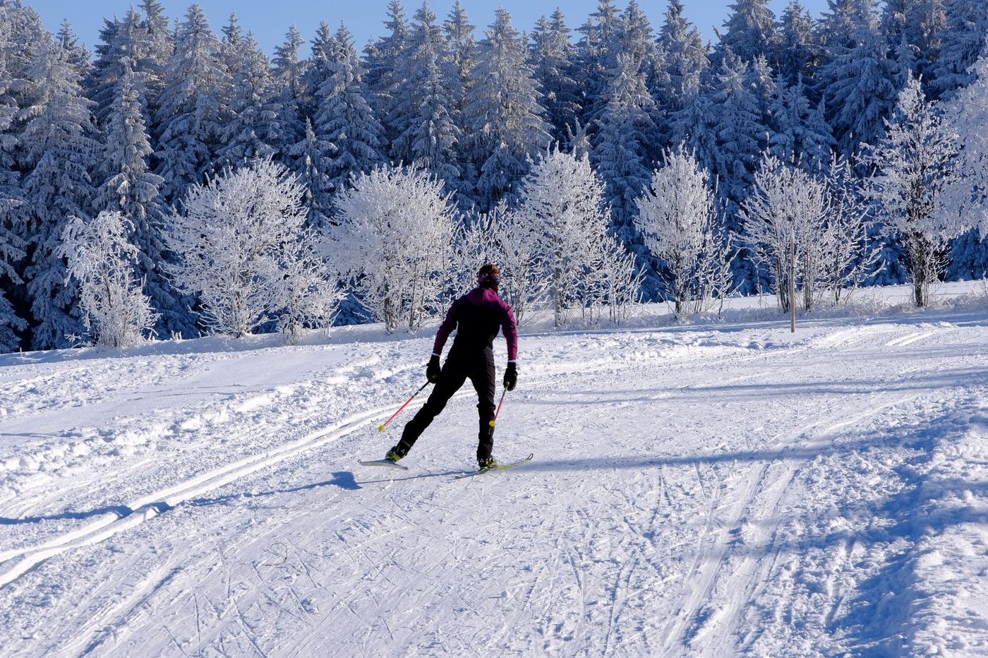 Langläufer auf einer verschneiten Loipe bei Kitzbühel